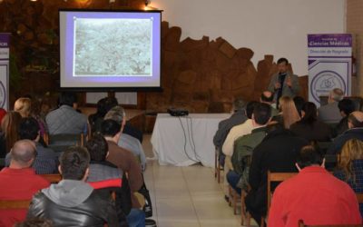 SEMINARIO MEDICINA POR IMAGENES.