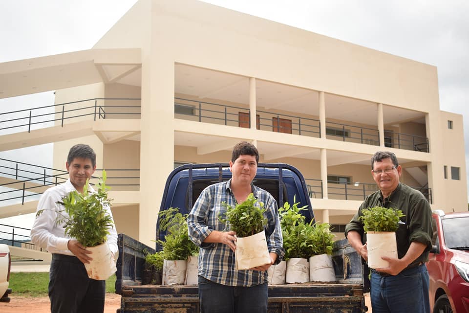 Donación de más de mil plantines por parte del Centro Ambiental de la Entidad Binacional Itaipu